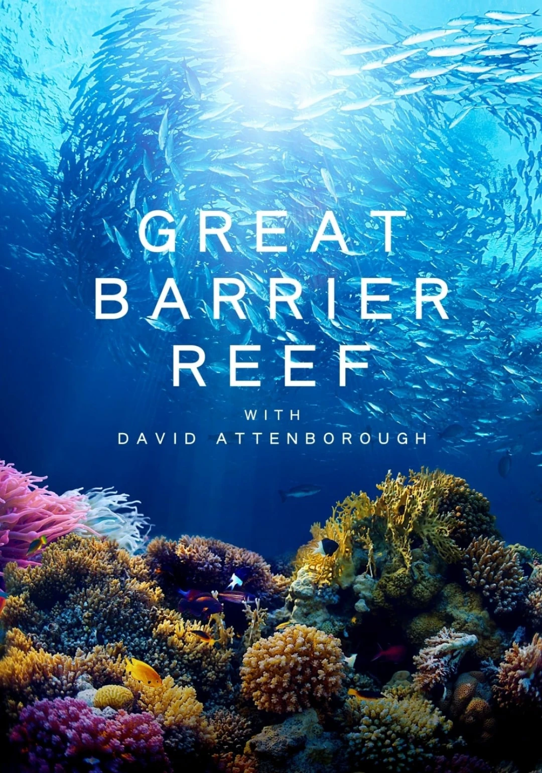 Khám Phá Rạn San Hô Great Barrier cùng David Attenborough Great Barrier Reef with David Attenborough