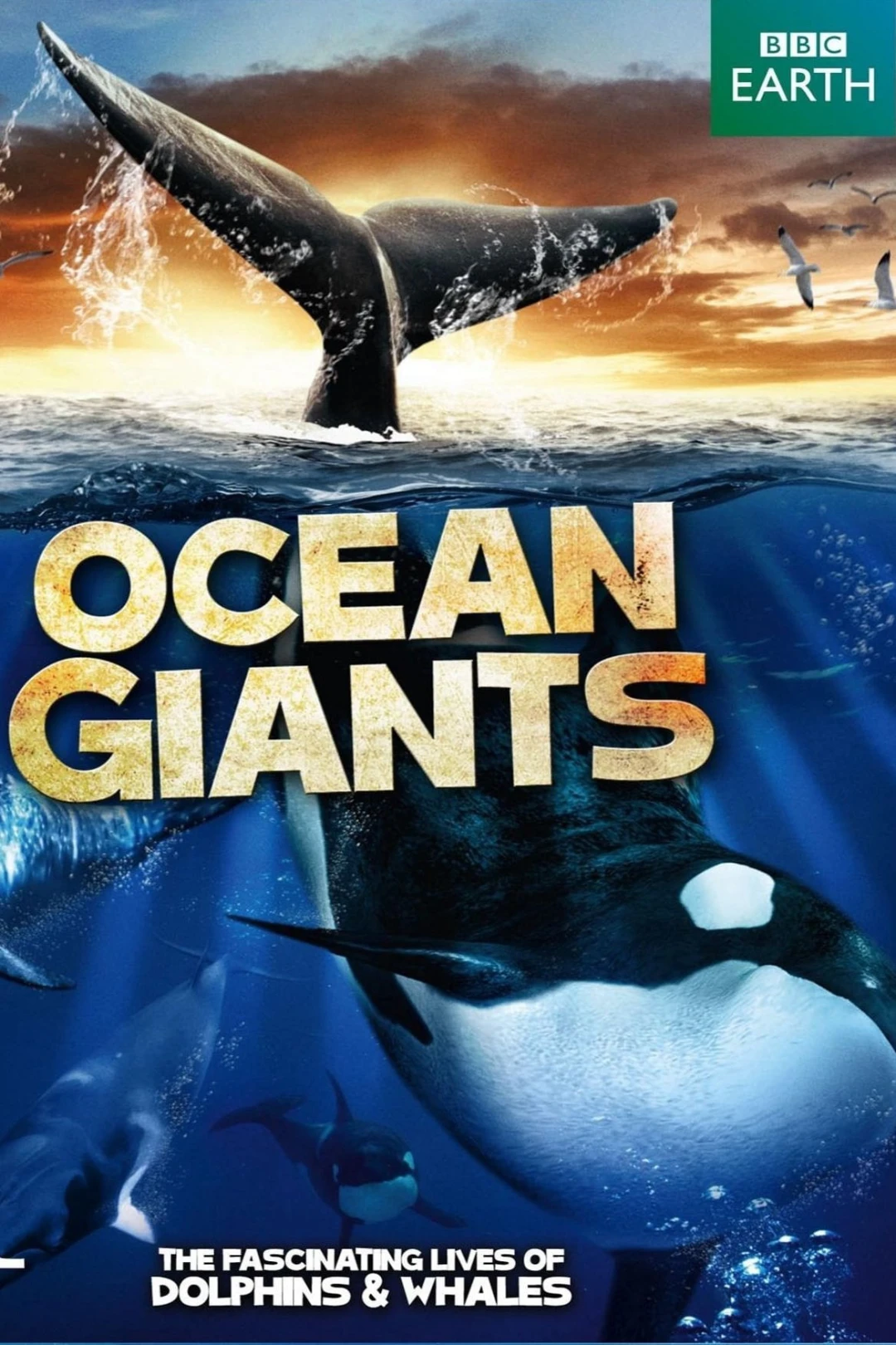 Ocean Giants Ocean Giants