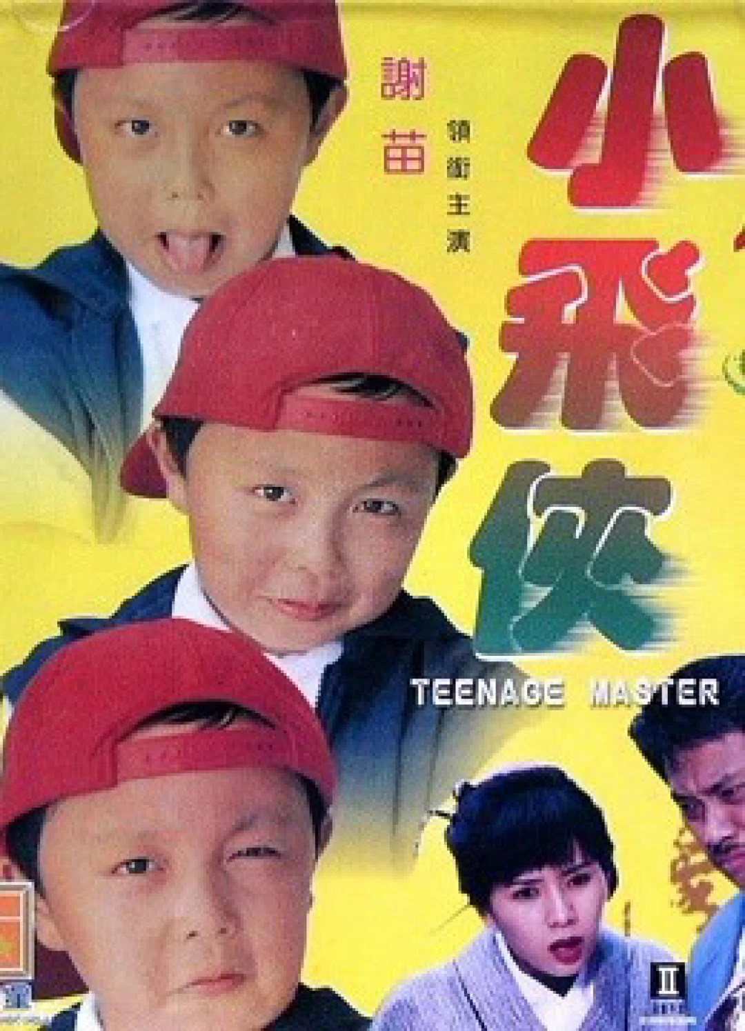 Thạc sĩ thiếu niên Teenage Master
