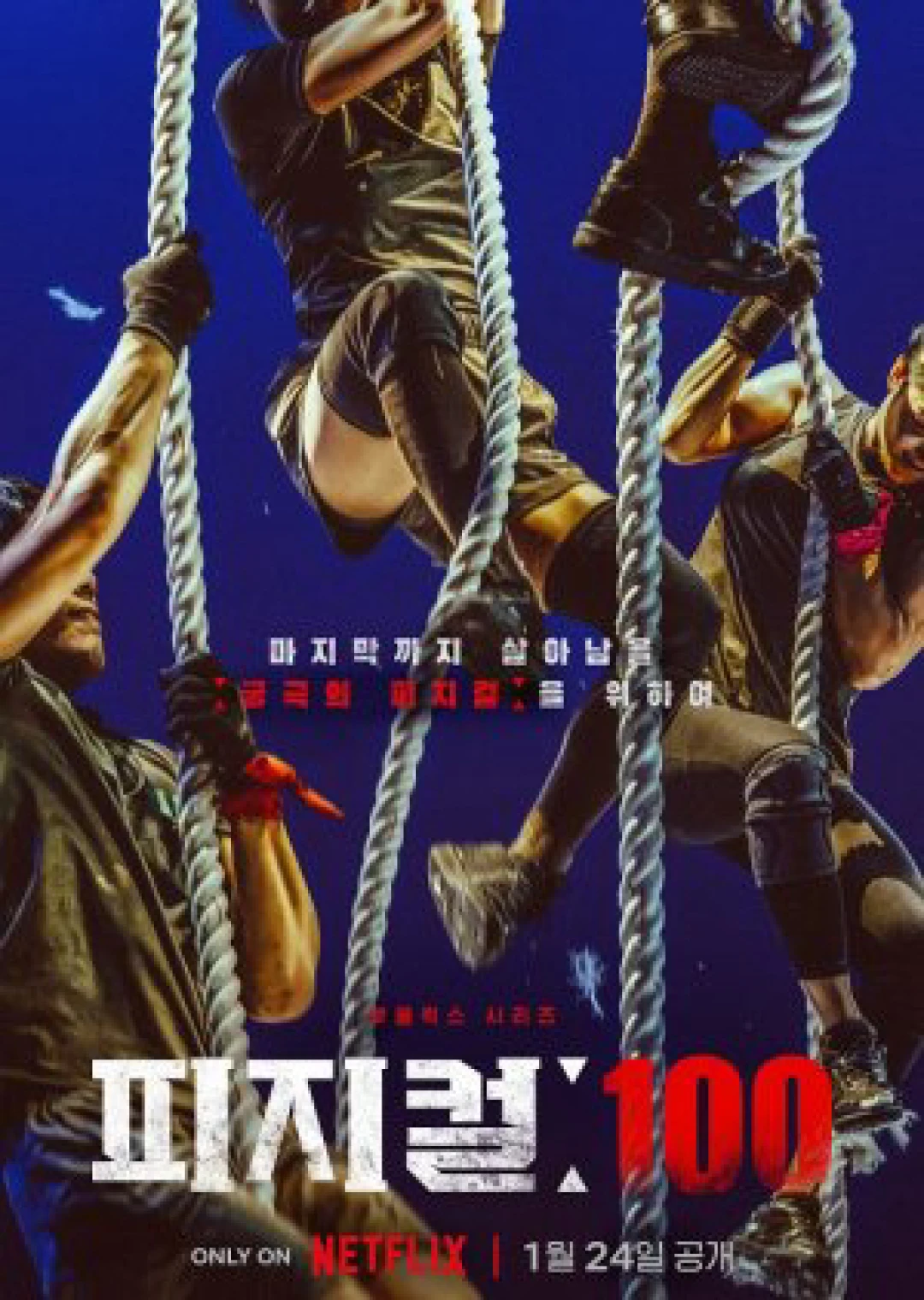 Thể chất: 100 Physical: 100